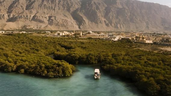 Săn trai ngọc trai + Du ngoạn rừng ngập mặn | Vé mọi lứa tuổi, Gói gia đình