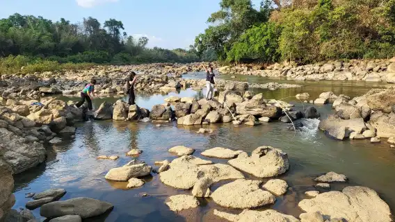 從胡志明市出發：Cat Tien National Park 叢林健行與野生動物之旅