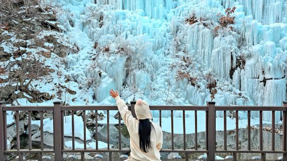 Winter Limited|Fish Fly Valley Glacier X Strawberry Picking Experience X Sledding Field X Sheep Ranch