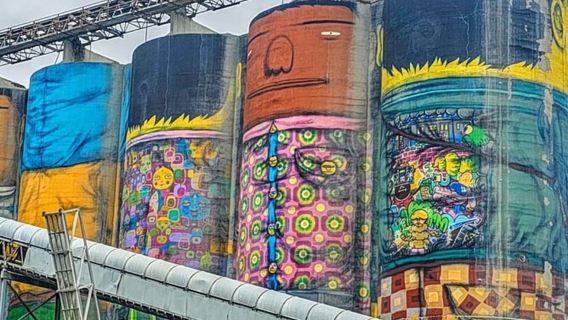 Vancouver: Walbeobachtungsabenteuer mit privater Stadtrundfahrt