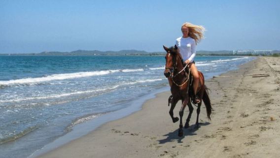 Miami: Paseo a caballo por la playa y sendero natural