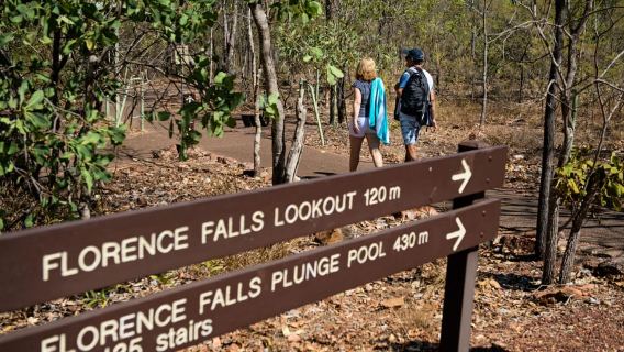 From Darwin: 1-Day Litchfield & Waterfalls Tour