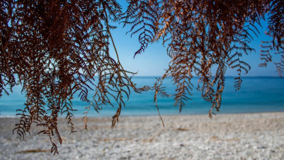 Sarandë: Qeparo and Himara Guided Tour