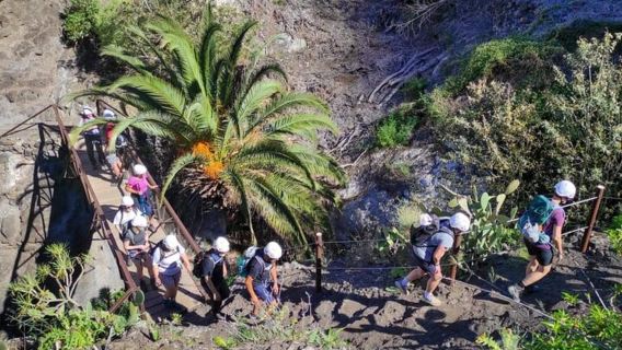 Sendero de la Garganta de Masca: Caminata guiada