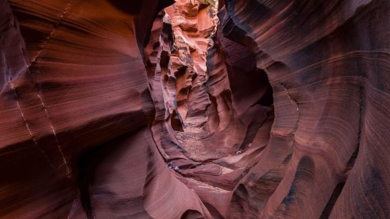 Page: Mountain Sheep Slot Canyon Guided Walking Tour