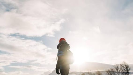 Kiruna: Caminata diurna con raquetas de nieve