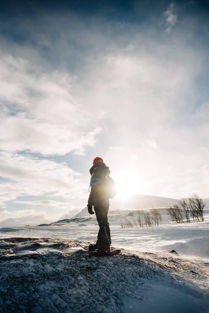 Kiruna: Daytime Snowshoe Hike