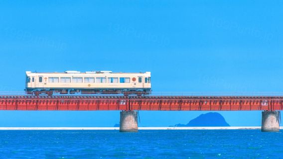 Kyoto Tango Railway Sea Train Ticket with Amanohashidate Cable Car and Ine Boat House Cruise 1-day Tour
