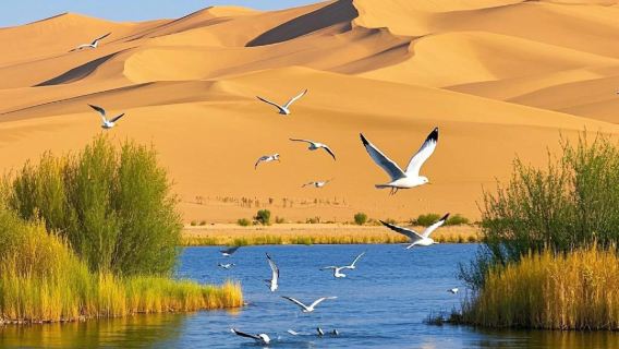 烏海一日遊網紅穿沙公路烏海湖拉僧廟甘德爾山贈星星瓶