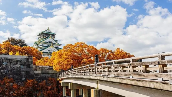 Osaka: Osaka Castle 3 hours Historical Walking Tour