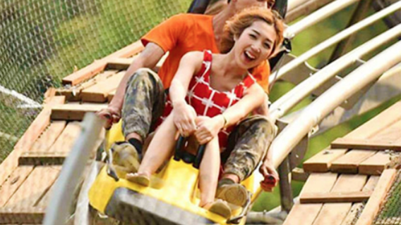 Pong Yang Jungle Flight Chiang Mai