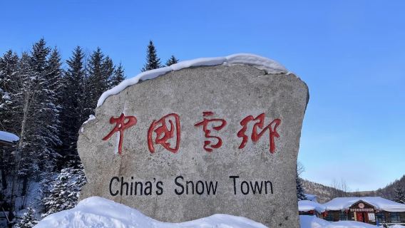 亞布團起止&雪鄉自由行包車一日遊&純玩無購物|車型可選|