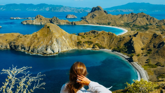 Tour di un giorno a Komodo in Indonesia [gruppo privato|tour di gruppo|Noleggio barca/Spiaggia rosa/Drago di Komodo