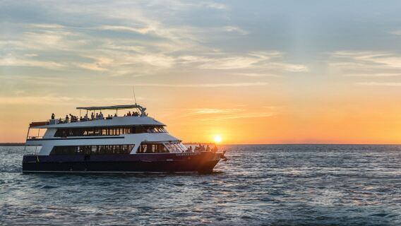 Du thuyền ngắm hoàng hôn Darwin 2 giờ — Charles Darwin | Darwin Harbor Cruise