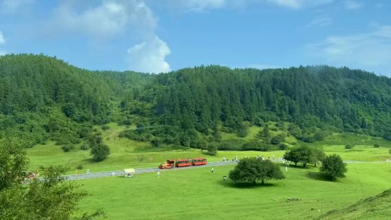 Chongqing Wulong Scenic Area and Fairy Mountain Private Tour for Foreign Tourists