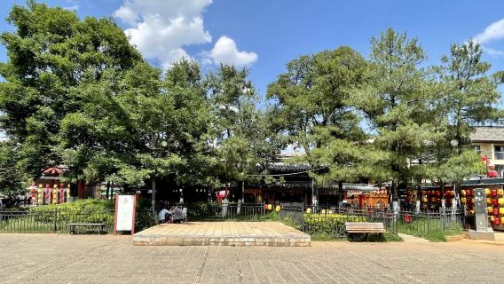 Kunming Tagesausflug [Altstadt Guandu + Altstadt Kunming + Blumenmarkt Dounan + Blumenfeld Yunhai]