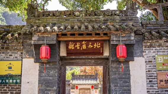 Tagesausflug mit englischem Service: Halber Hektar Teeplantage in Ankang, Shaanxi + Fünf-Norden-Provinzen-Gildehaus + Ziyang-Pavillon + Yinghu-See