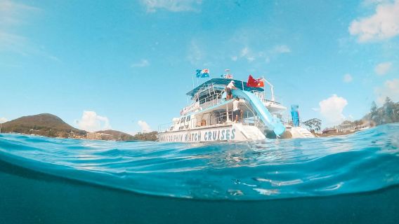 perjalanan satu hari ke Sydney Port Stephens: Sandboarding/ kapal pesiar Lumba-lumba di Bawah Cahaya Bulan/Suaka Koala