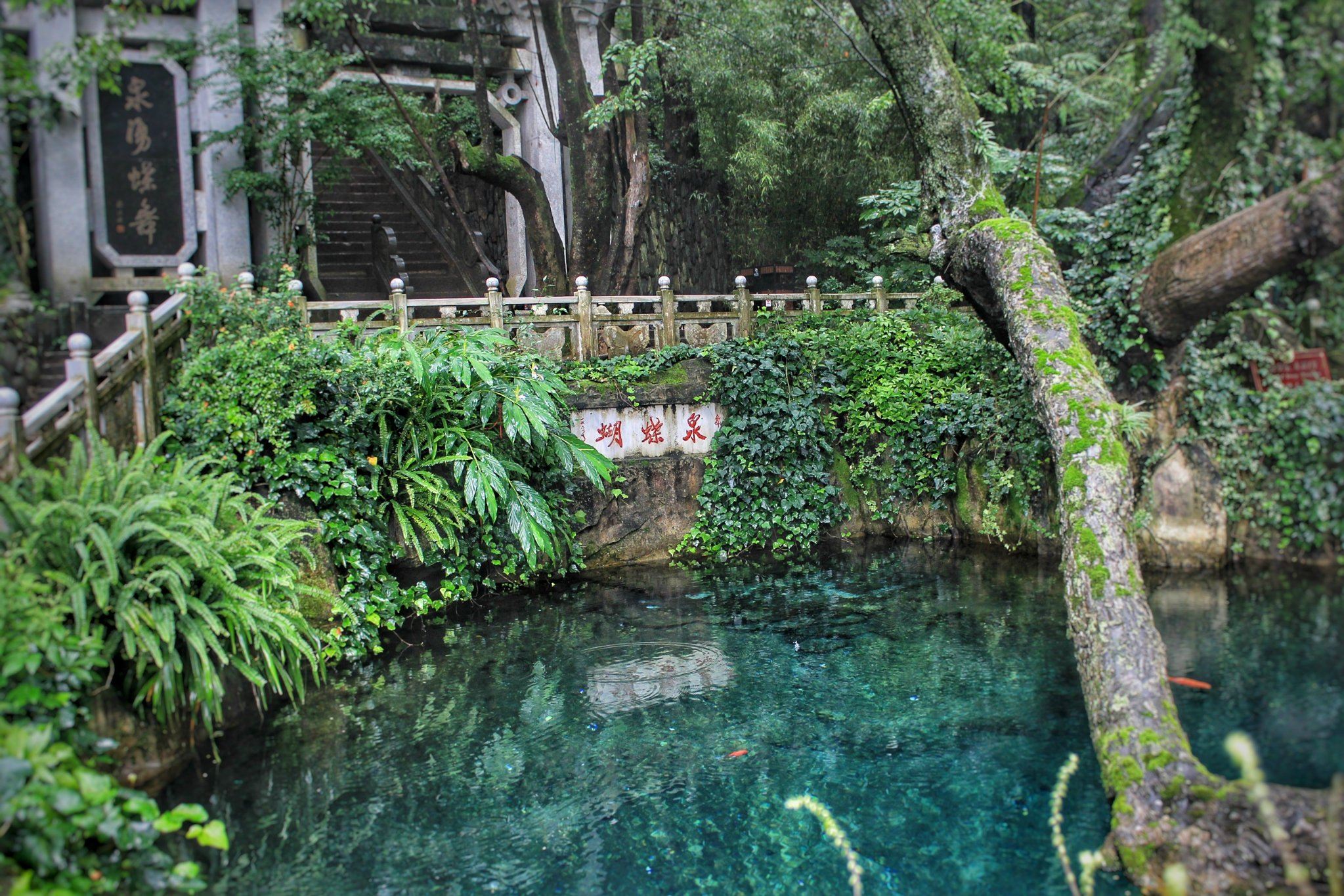 Tour giornaliero a Guilin e Yangshuo con crociera sul fiume Li (rafting in bambù disponibile)