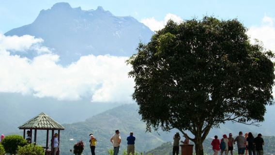 Excursión de un día al Parque Nacional de Kinabalu, las aguas termales de Poring y la granja de vacas Desa
