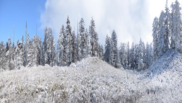 Chengdu to Mount Wawu One-Day Tour: Rediscover Your Inner Peace [Tickets+Private Car]