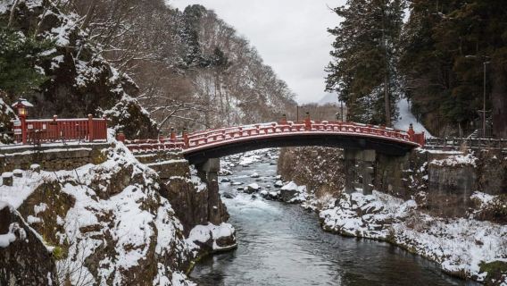 Tokio: recorrido por el santuario Nikko Toshogu y la cascada Kegon