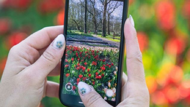 Ámsterdam: Entrada al Keukenhof (Jardín de la Cocina) + Crucero por los canales
