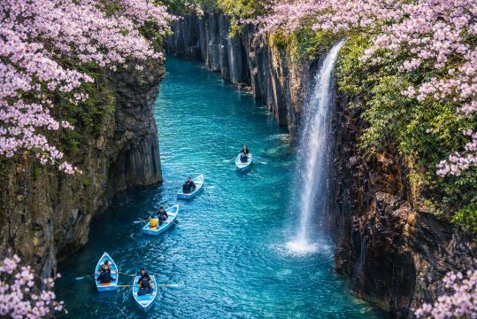 九州桜めぐりワンデーツアー 高千穂峡・高千穂トロッコ・阿蘇火山
