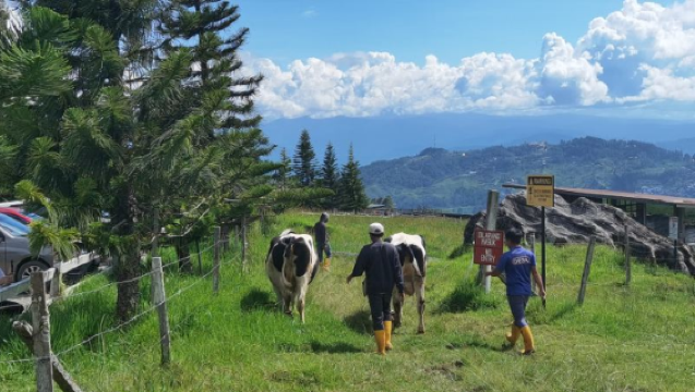 亞庇神山牧場滑翔傘/ATV/休閒/徒步一日遊丨可選5人小團