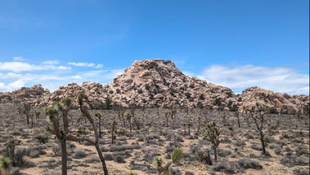 美國洛杉磯來回-約書亞樹國家公園【中文包車自由行】
