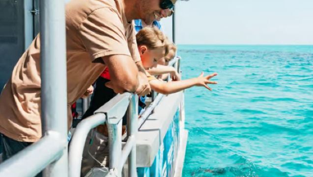 1-day tour of Brisbane Moreton Island marine exploration cruise and dolphin feeding