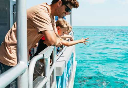 1-day tour of Brisbane Moreton Island marine exploration cruise and dolphin feeding AUD 140