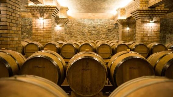 Lawatan Sehari ke Ladang Anggur Ningxia: Makam Raja Xixia + Lukisan Batu Helan + Ladang Anggur Yuanshi