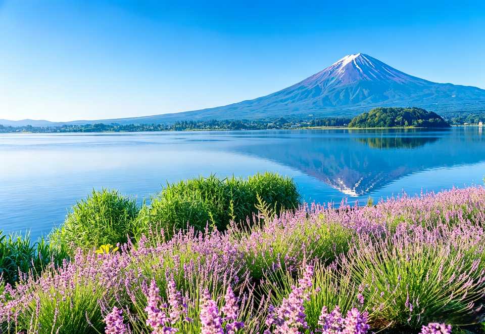 Classic Panoramic Day Trip to Mount Fuji: Arakurayama Asami Park +