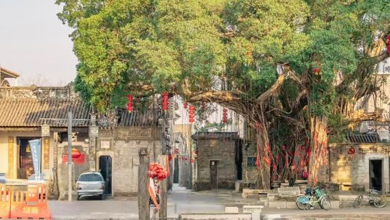 Kina Guangzhou + Xijiao Bjerg Scenisk Område + Yanqiao Gamle Landsby + Huang Feihong Løvedans og Kampsport Museum dagstur