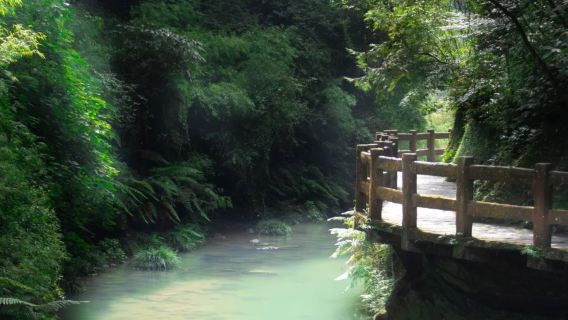 8-pax Luxury Chongqing Daytour | Three Natural Bridges+ Longshuixia Fissure Gorge