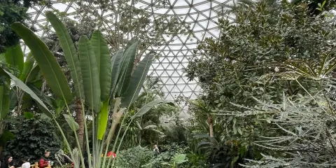 加拿大溫哥華-伊麗莎白女王公園-UBC植物園-包車暢遊