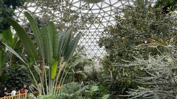 Kanada Vancouver - Taman Ratu Elizabeth - Taman Botani UBC - Sewaan Peribadi Melancong