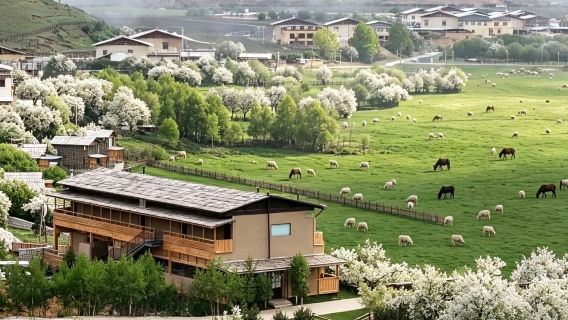 雲南全境：陪玩｜ 地陪｜旅遊專業導遊｜中英等多種語種導遊｜全國地接｜私人行程定制