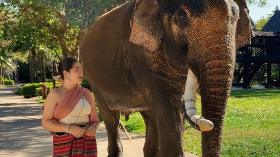 พัทยา | ให้อาหารช้างและปฏิสัมพันธ์ + สวมชุดไทย | สัมผัสวัฒนธรรมไทยอย่างลึกซึ้ง
