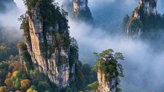 Zhangjiajie dagstur | Udvalgt rute + guide service, afslappet udforskning af det vestlige Hunan