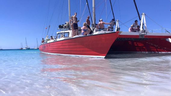 Barbados catamaran snorkeling cruise with turtles and shipwrecks