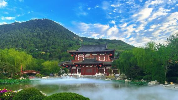 Xi'an Huaqing Palace + Emperor Qinshihuang's Mausoleum Site Museum 1-day tour for 2~6 people (private guide)