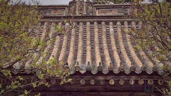 忻州出發佛光寺+南禪寺+洪福寺+延慶寺+廣濟寺一日遊