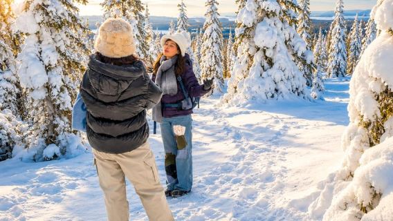 Rovaniemi: Riisitunturi National Park & Snowy Trees Tour