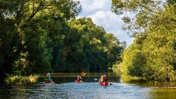 Hanover: Beginner Canoe Tour on the Leine River