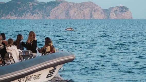 Semi-private PREMIUM boat: Dolphin sightings (100% guaranteed) and cave