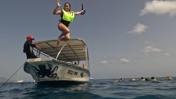 Snorkeling Tour & Sosua Beach Day