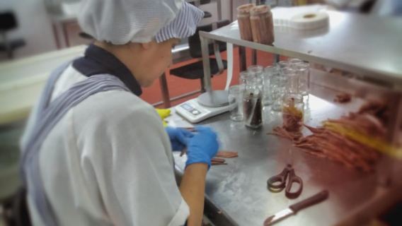 Santoña and Anchovy factory tour from Santander- small group