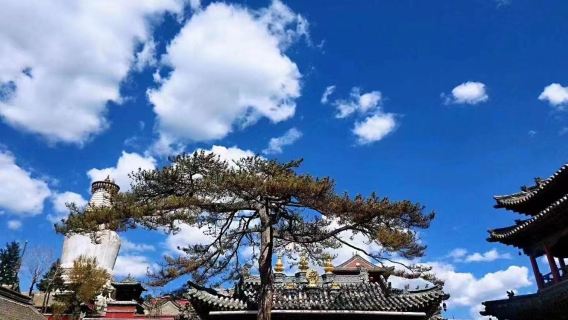 五台山+塔院寺+殊像寺+龍泉寺一日遊【原平出發】